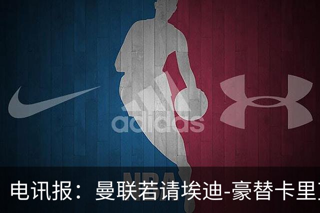 电讯报：曼联若请埃迪-豪替卡里克，需向纽卡支付最多600万镑