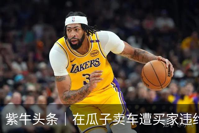 紫牛头条｜在瓜子卖车遭买家违约，车白跑两千公里另行售卖亏了9000元，车主不满平台处理结果